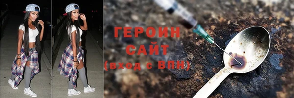 гидра Вяземский