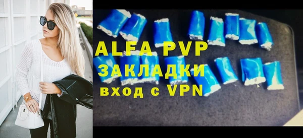 гидра Вязьма