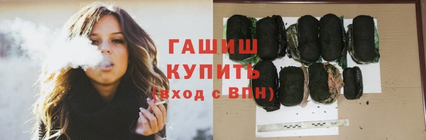 гидра Вязьма