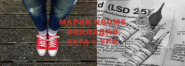 гидра Вязьма