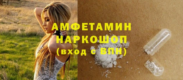 гидра Вяземский