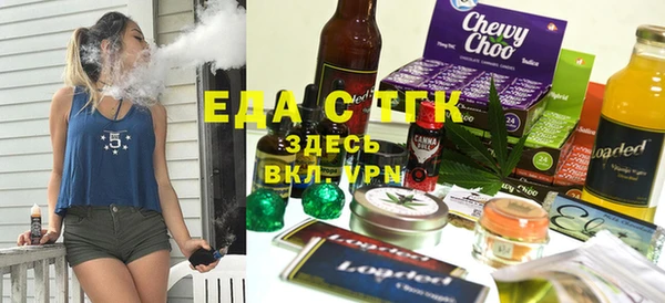 гидра Вяземский