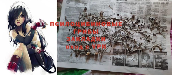 apvp Горнозаводск