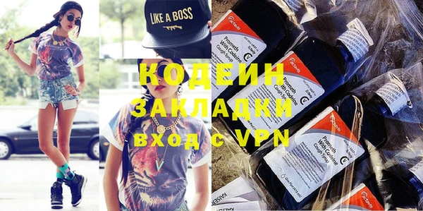 гидра Вяземский