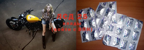 гидра Вяземский