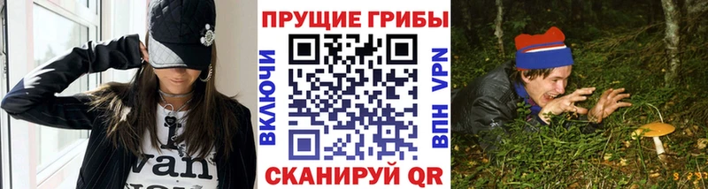 Купить закладки  Кирс  Галлюциногенные грибы прущие грибы 